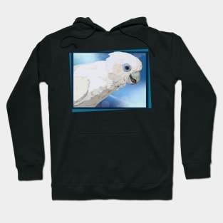 Solomon's Cockatoo Hoodie